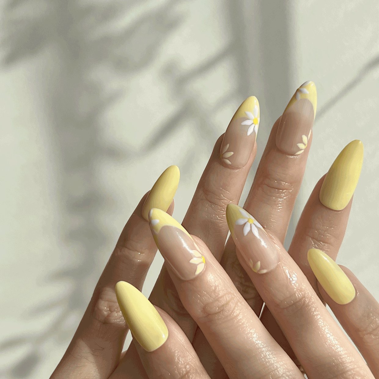 CLASSIC NAILS